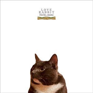 国产精品精华液网站
