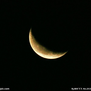 国产精品精华液网站
